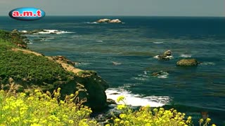 عاشقانه های من با تو _ پرواز