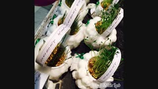 جشن نوروز 94- پیش دبستانی سه ستاره فرشته ها