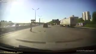 نجات اردک