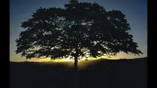 Yücel Arzen Devrim Gürenç - İçim Yanıyor