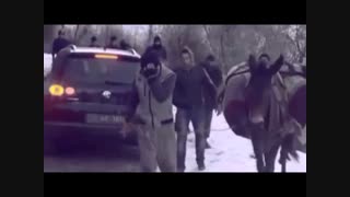 Hozan Dino   Roboski - 2014