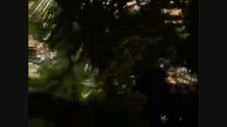 tropical  rainforest