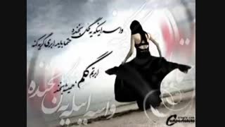 مرتضی پاشایی