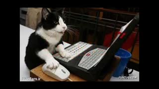 اثر بی توجه ای