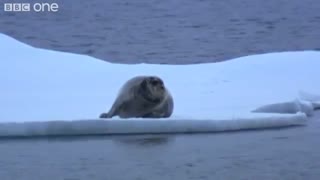 طبیعت زیبا!