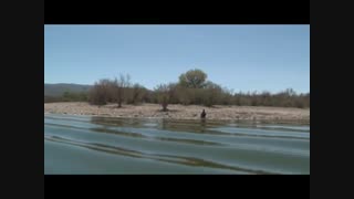 زخم های کمپ ارس