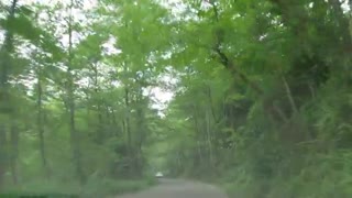 دروازه طبیعت