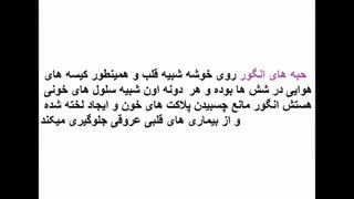 مواد مناسب بدن