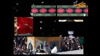 واویلا شهید علقمه(حاج محمود کریمی)