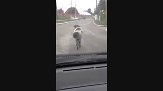 حالا1....2....3.....به افتخارببعی هوراااااااا