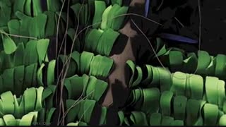 بال های پروانه زیر میکروسکوپ  - www.DigiComedy.com