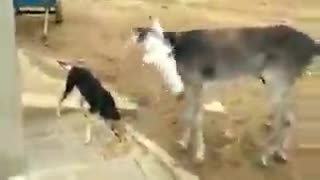 خرررررررررررره :D