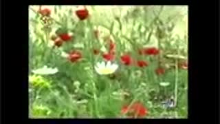 دانلودویدیو موزیک ترکی غمگین درشبکه فارس