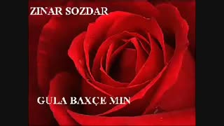 Zınar Sozdar - Gula Baxçe Min