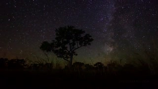 آسمان زیبای شب!