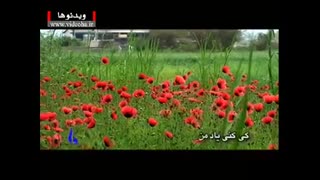 موزیک تصویری گل ناز _ علیرضا افتخاری