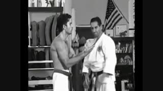 اوکیناوا شورینجی ریو کاراته و کوبوجوتسو {} تست شیمه سن چین گاتا