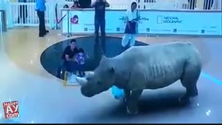 پخش تصاویر با بعد 7 در دبی 7D