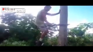 ترفند جدید برای بالا رفتن از درخت