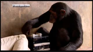 از میمون تا انسان دوبله فارسی 3