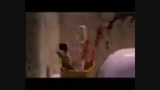 سیزده بدر سوسکی