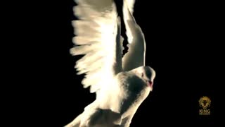 حمید صفت-سوختگان