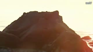 حذفی یانگوم (خیلی قشنگه)