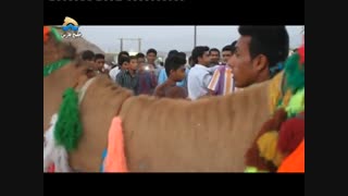 علی جمشید میررستمی