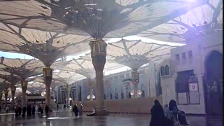 مدینه النبی