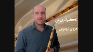 نی نوازی  _ تکنوازی نی فردین زارعی ابوعطا (آلبوم حسرت)
