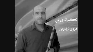 نی نوازی  _ تکنوازی نی فردین زارعی شوشتری (آلبوم حسرت)