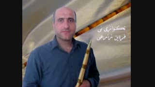 نی نوازی  _ تکنوازی نی فردین زارعی صبا عرب سوگ برادر ....  آلبوم راز نی