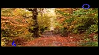 آهنگ پاییز محمد عبدالحسینی