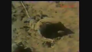 فیلمی که عراق  از شهدای ایران در کربلای 4 گرفت