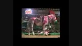 شمشیر خوردن واقعی علی اکبر