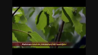 الرحمن (Er-Rahman)