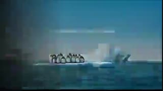 انیمیشن هماهنگی حیوانات