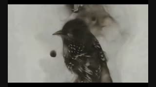 نقاشی های بسیارزیبا و حرفه ای با شعله های آتش