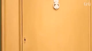 پارک شین هه (تبلیغ )