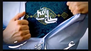 زینت خانه ی ما عکس رخ خامنه ایست
