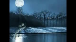 شعر کوچه با صدای زنده یاد فریدون مشیری