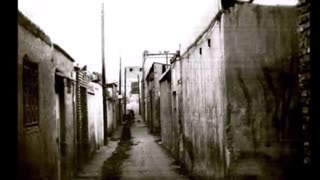 مرجان فرساد،پرتقال من