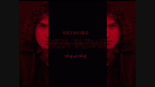 پرنده بی پرنده،رضا یزدانی