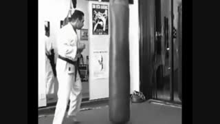 استاد بهزاد احمدی >‌ [شورینجی ریو کاراته کوبوجوتسو] *داکن تای وازا (ضربه زنی مشت وپا)