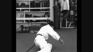 استاد بهزاد احمدی > [شورینجی ریو کاراته *ریوکیو کوبوجوتسو] *‌کاتا و بانکای شماره ۲۴