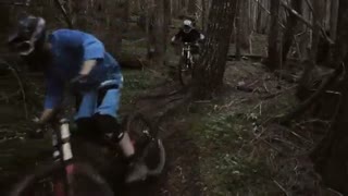 انسان و طبیعت