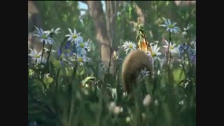 موزیک ویدیو انیمیشن جادوی اسرار آمیز