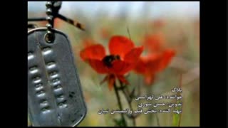 پلاک - علی لهراسبی هایفوتراپی