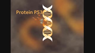 The effects of radiation on our health, تاثیرات تابش هسته ای روی سلامت انسان