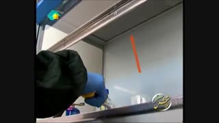 ویدئو تلاش سبز (کشت بافت)